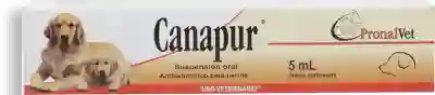 Canapur suspension oral 5 ml