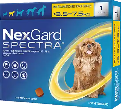 NEXGARD SPECTRA S 1 CHEWAB X 10 (3.5-7.5kg)