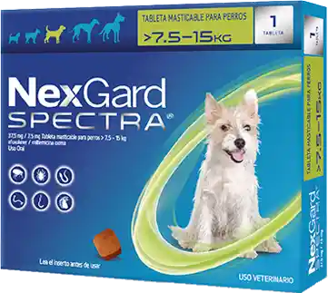 NEXGARD SPECTRA M 1 CHEWAB X 10 (7.5-15kg)