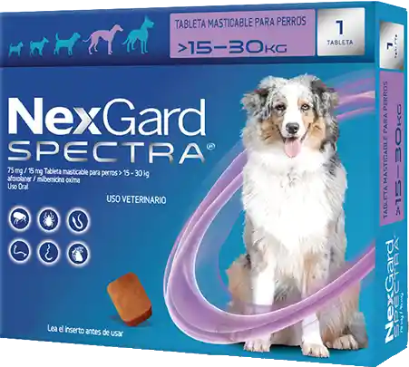 NEXGARD SPECTRA L 1 CHEWAB X 10 (15-30kg)