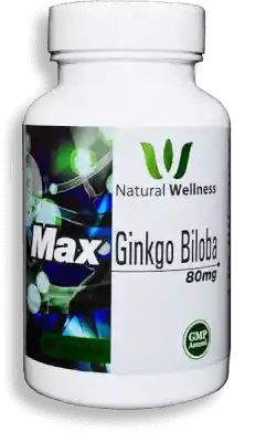 Ginkgo Biloba Nat.Welln Plus Cap 80Mgx60