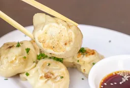 Dumplings de Pollo
