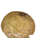 Galleta Choco Chip