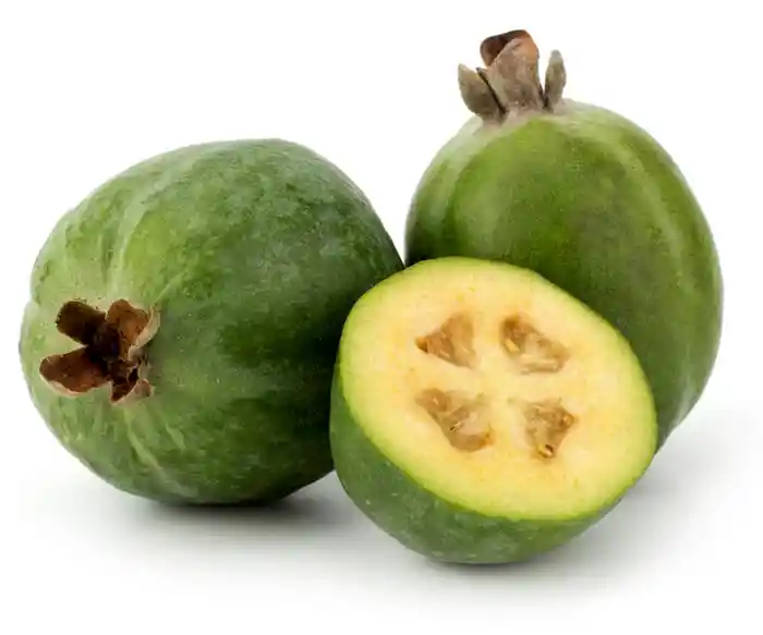 Feijoa Comun X Kl Ext