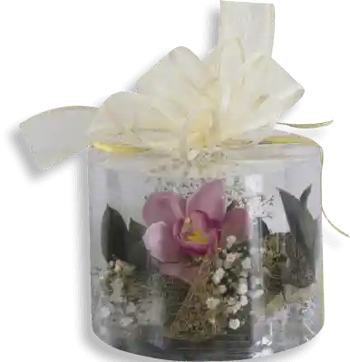 caja Orquideas