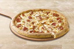 Pizza Mediana 2 Ingredientes
