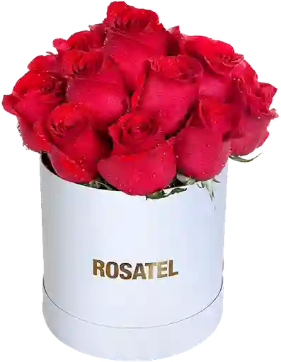 Sombrerera blanca 15 Rosas rojas