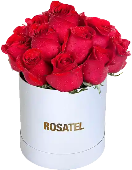Sombrerera blanca 15 Rosas rojas