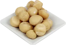 Macadamia