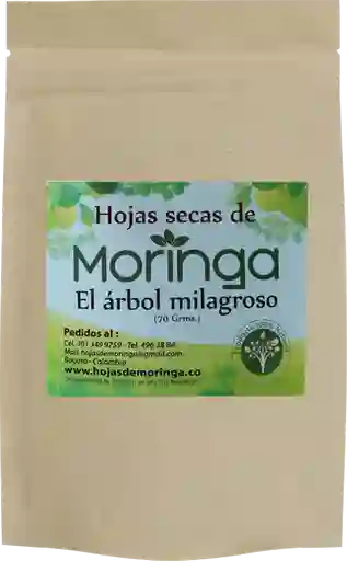 Moringa Hoja X 70 Grs