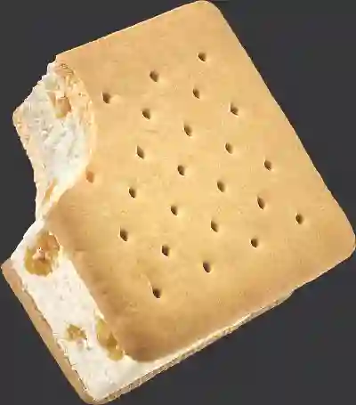 Galleta Estelar 