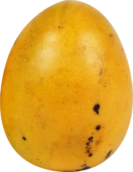 Mango Para Jugo