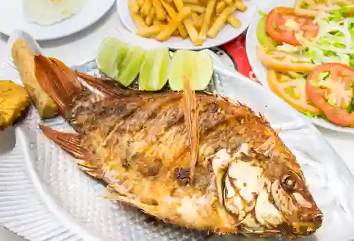 Mojarra Frita