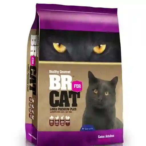 Br For Cat 4S Adul Cats X10Kl