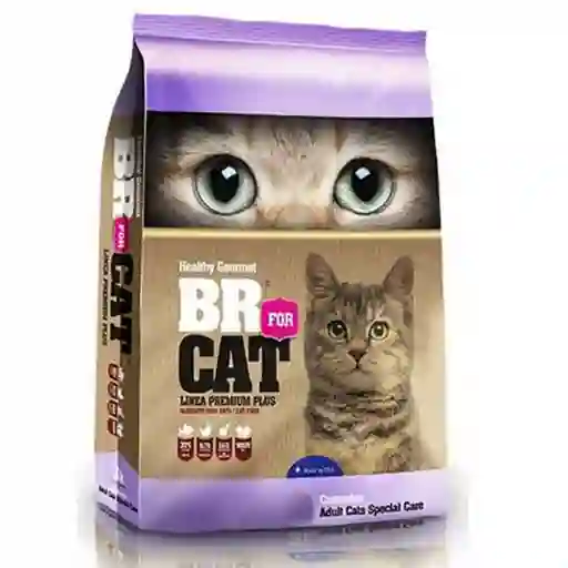 Br For Cat 4S Adulto Special Care X3Kl Gatos Castrados