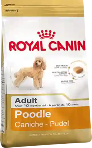 Royal Canin Poodle X1.5Kl