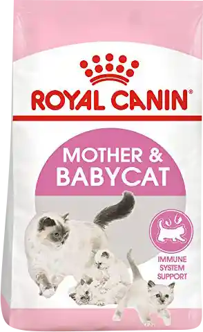 Royal Canin Mother Baby Cat 2 Xkl