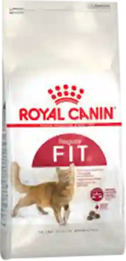 Royal Canin Feline Fit 32 X2Kl