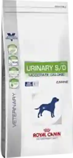 Royal Canin Urinary Canine X8Kl