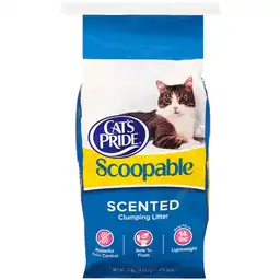 Cats Pride Scoopable X10Lb Arena 19105