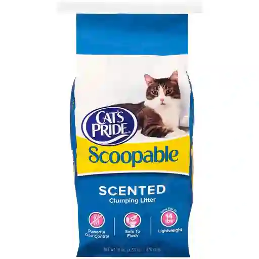 Cats Pride Scoopable X10Lb Arena 19105