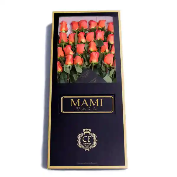 Califronia 24 Rosas Caja Negra