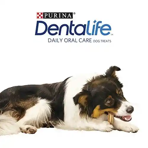 DentaLife X 17 G