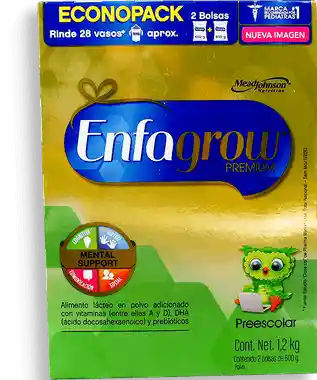 Enfagrow Premium Alimento Lácteo en Polvo Preescolar