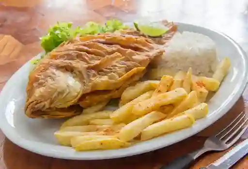 Combo Mojarra