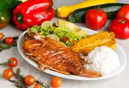 Tilapia Frita