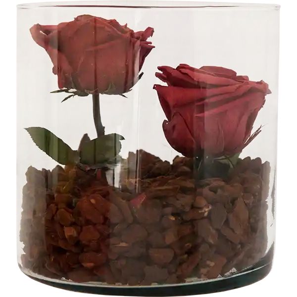 Cilindro Doble Premium Mora