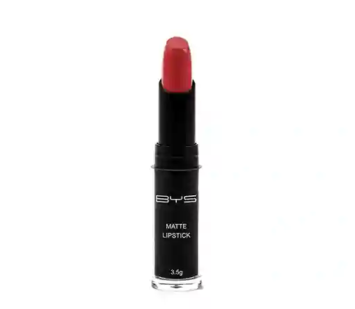  BYS Labial Matte Tango 