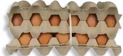 Huevos AA x 60 Unidades 