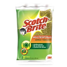   Scotch Brite  Multiesponja 