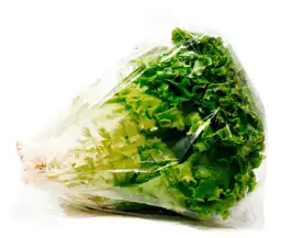 Members Selection Lechuga Crespa Verde - Pricesmart