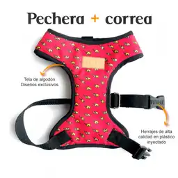 Pechera y Correa Rayos Fedele Para Perro M