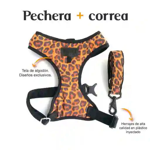 Pechera y Correa Brown Fedele Para Perro L