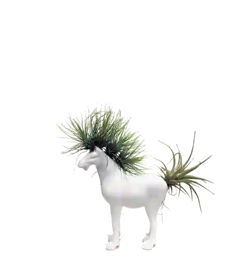 Planta Con Forma De Caballo Pequeño