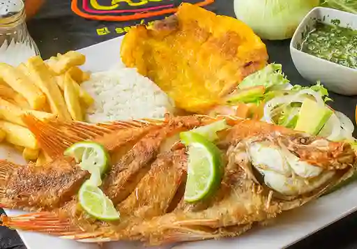 Mojarra Ejecutiva