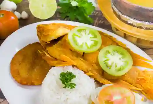 Mojarra Frita