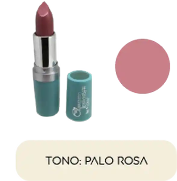 Ecleyr Labial Glamazone - Tono Palo Rosa