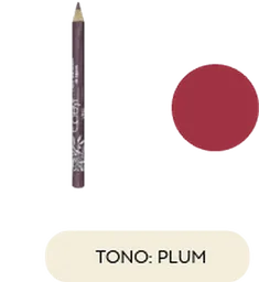 Ecleyr Lapiz Delineador De Labios - Tono Plum