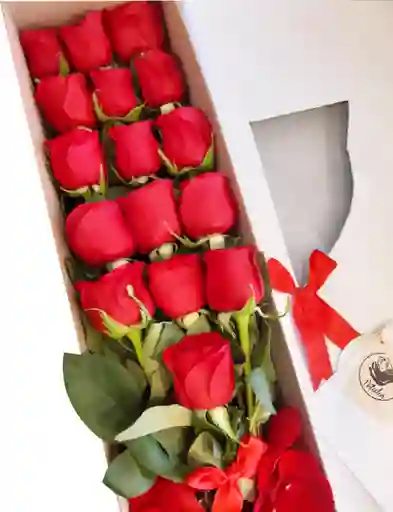Caja blanca larga 16 rosas rojas