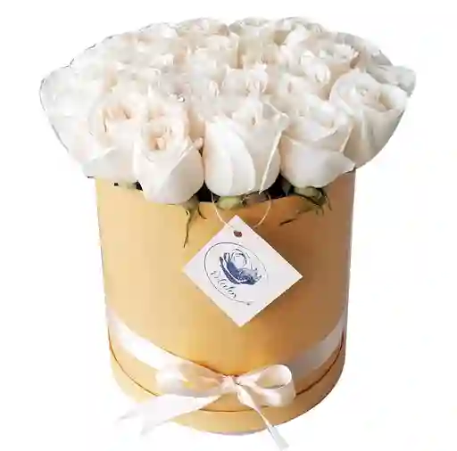 Caja dorada rosas blancas
