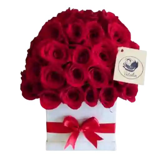 Caja blanca 40 rosas rojas