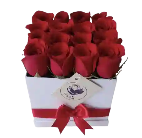 Caja cuadrada blanca 16 rosas rojas