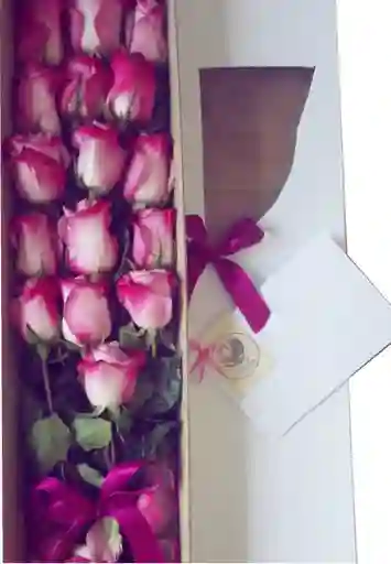 Caja blanca larga 16 rosas lila