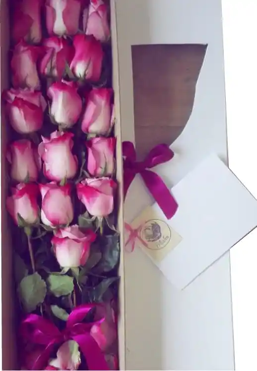 Caja blanca larga 16 rosas lila