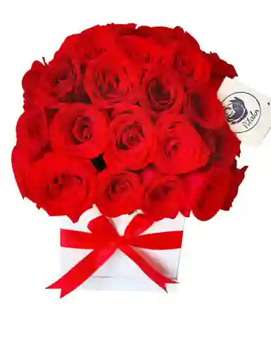 Caja cuadrada blanca 50 rosas rojas