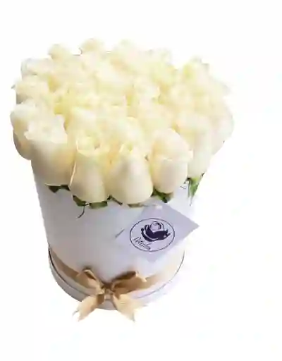 Caja cilíndrica blanca con rosas blancas
